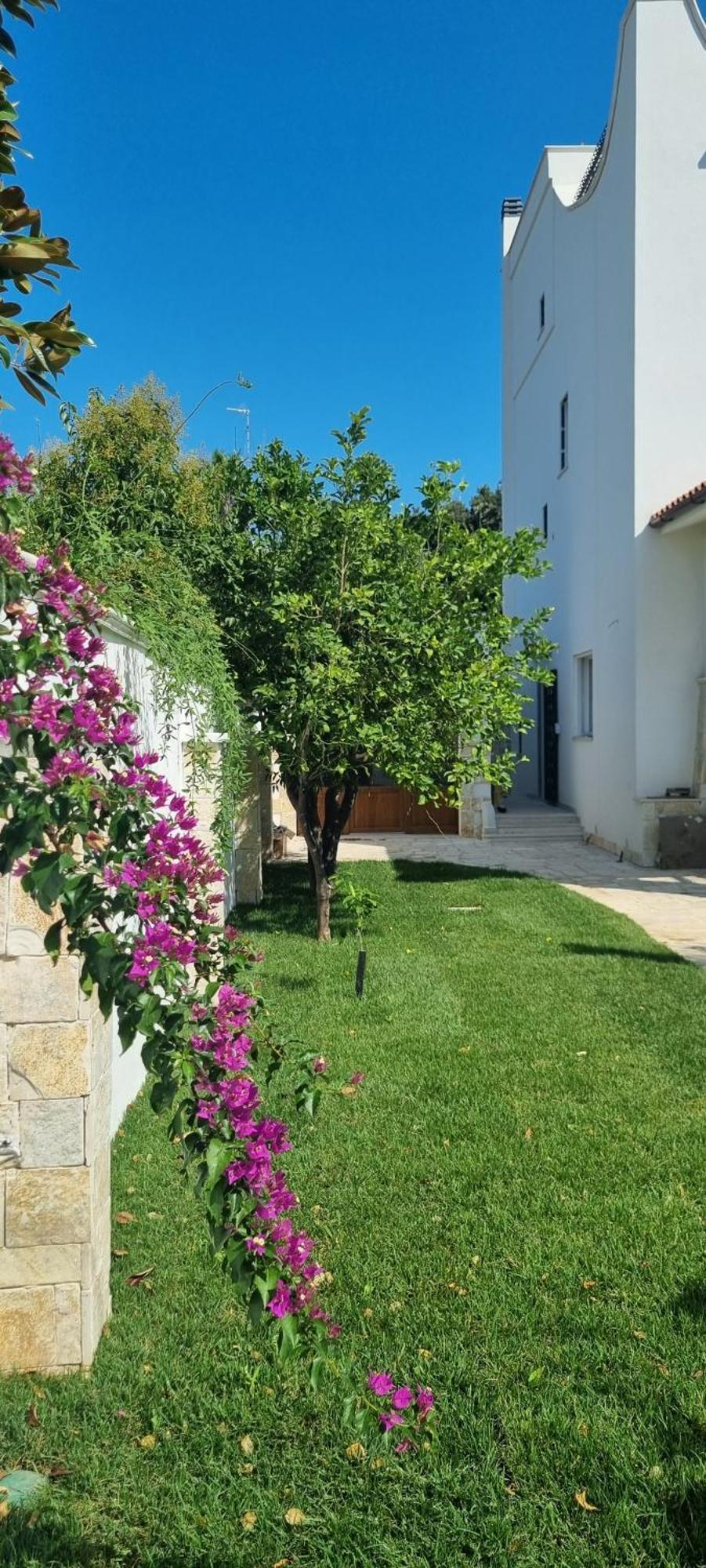 Villa Guajira バーリ エクステリア 写真