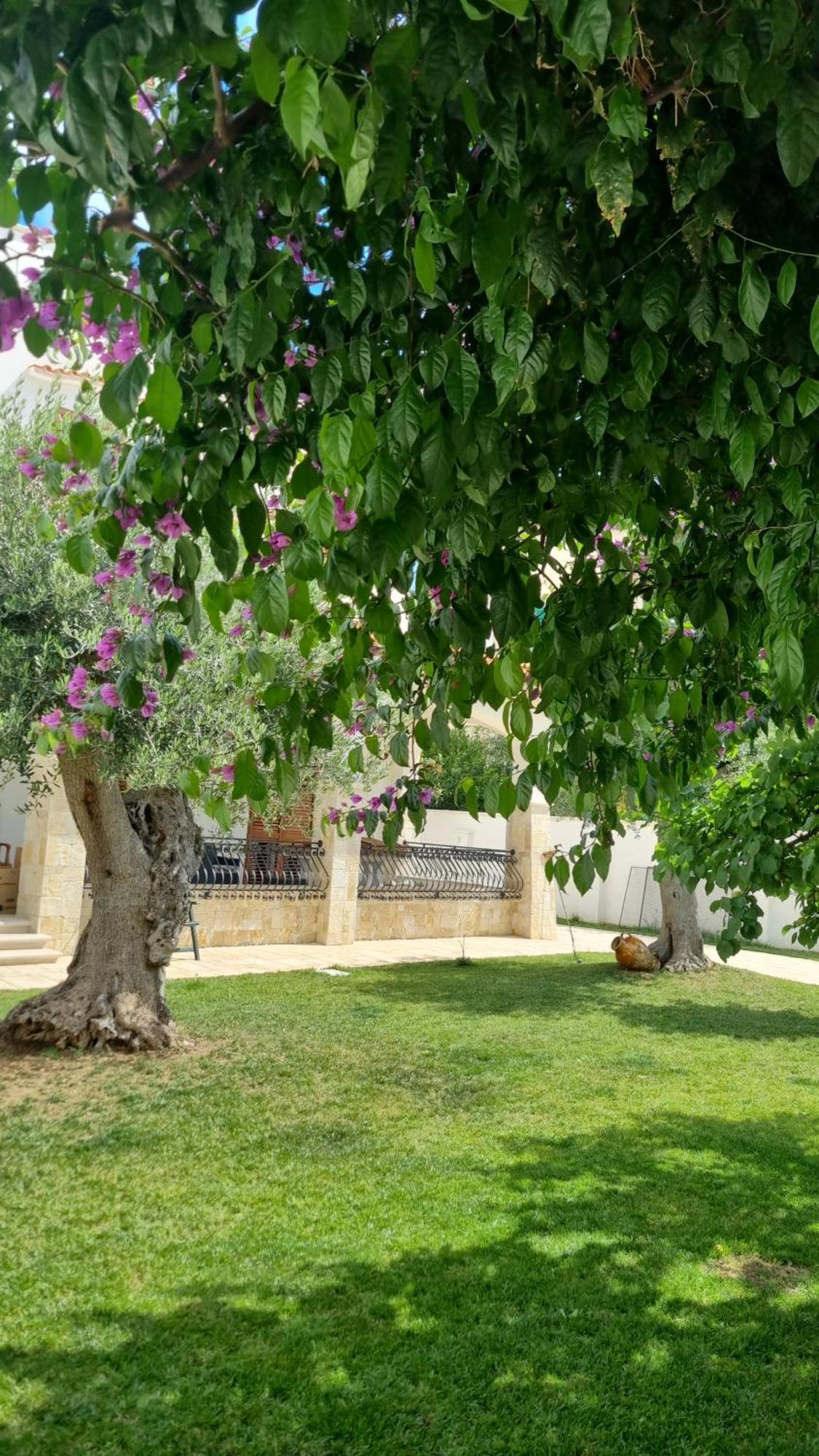 Villa Guajira バーリ エクステリア 写真