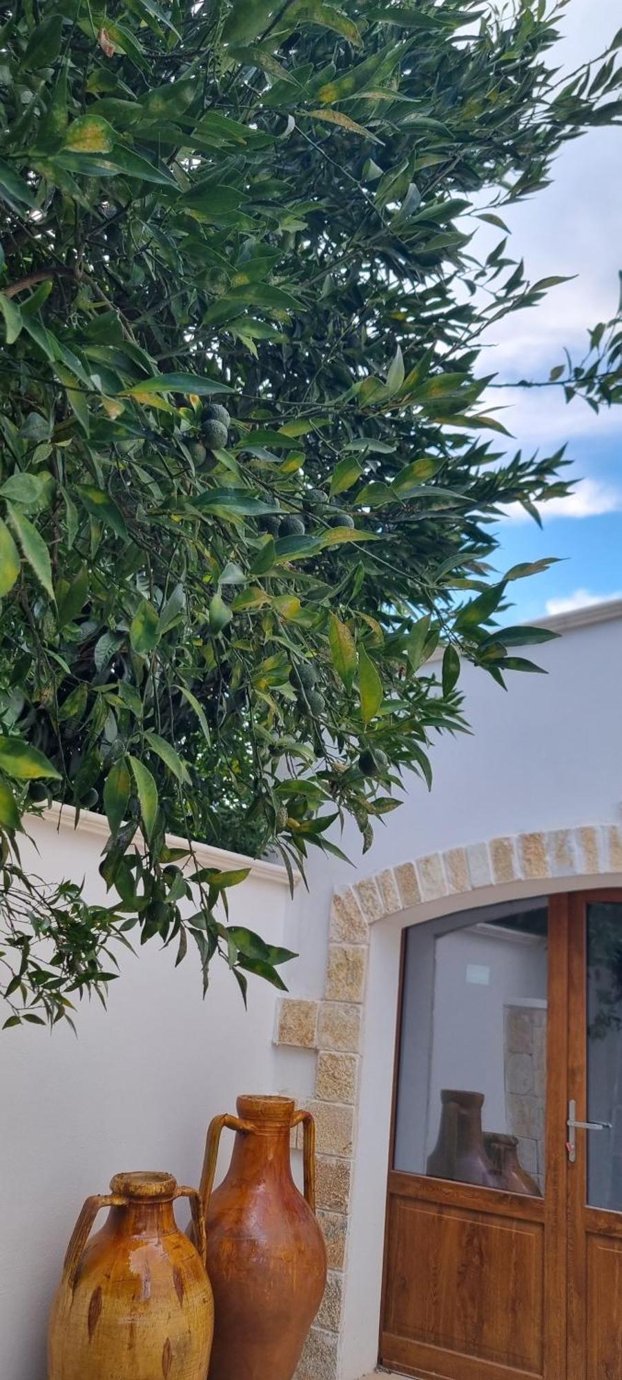 Villa Guajira バーリ エクステリア 写真