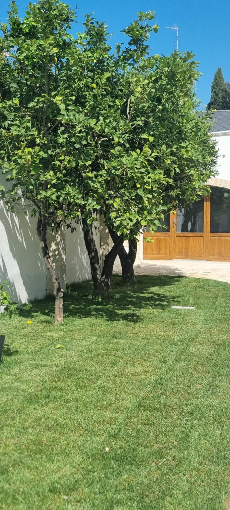Villa Guajira バーリ エクステリア 写真
