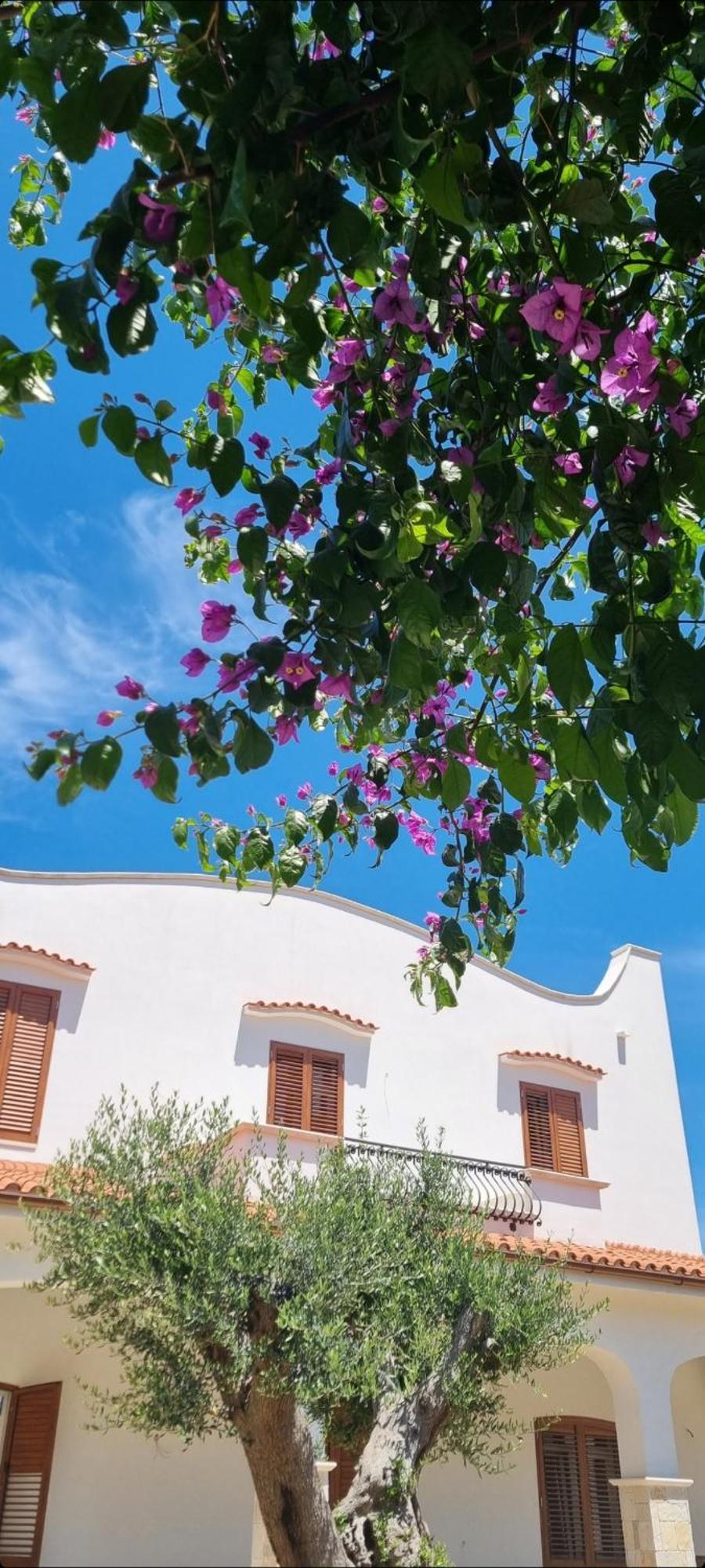 Villa Guajira バーリ エクステリア 写真